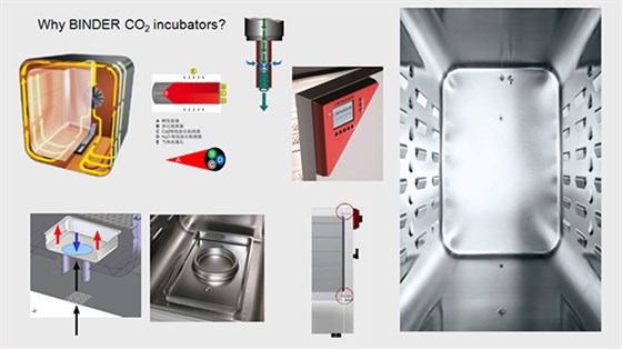 Binder的C/CB系列二氧化碳培养箱的优势图解