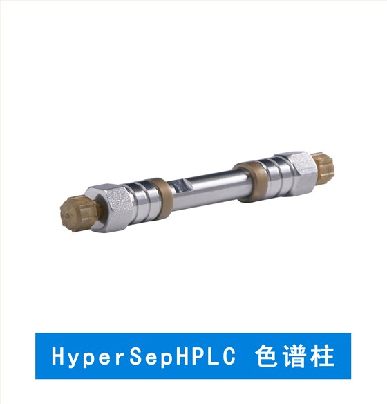 在线 SPE 的 HyperSep HPLC 色谱柱 赛默飞色谱柱