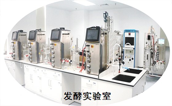 集思仪器为武汉生物技术研究院供应4台7L机械搅拌玻璃发酵系统
