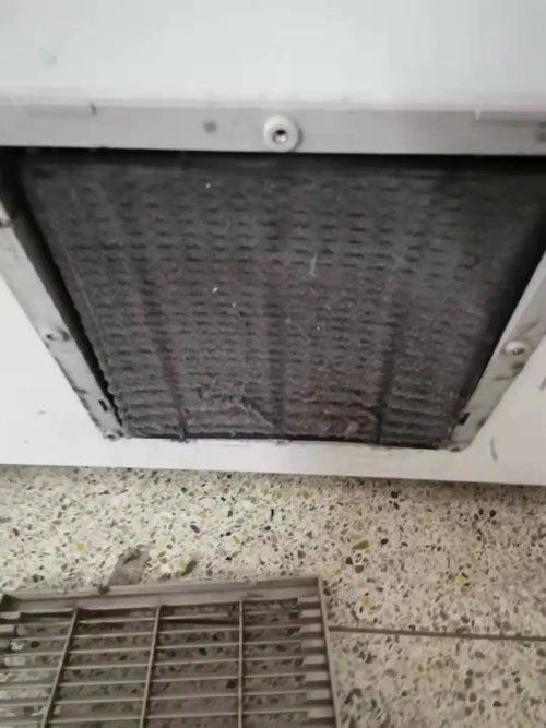 集思仪器&中科都菱低温冰箱2020用户巡访记775
