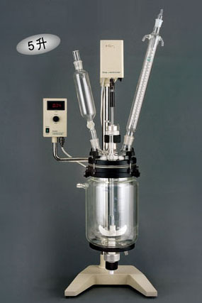 亚荣玻璃真空反应器RV-605
