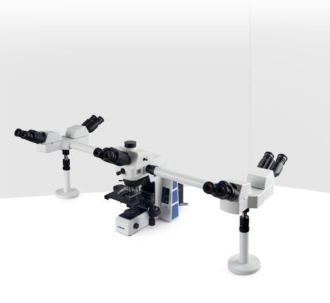 舜宇多人共览显微镜RX50DOM