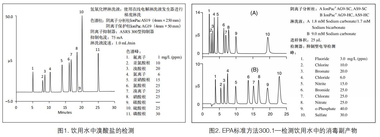 戴安ICS-600实用案例