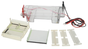 31DN型 水平琼脂糖电泳槽