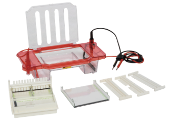 31DS型 水平琼脂糖电泳槽