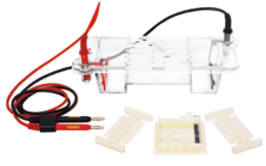 31BN 微型水平电泳槽