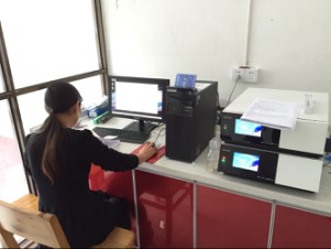 cstp1
